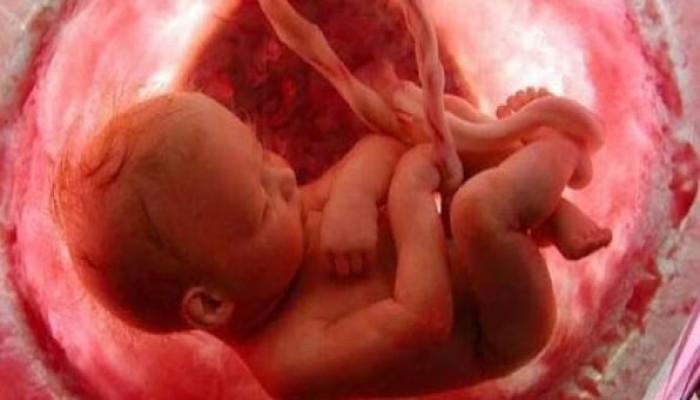 وصفات طبيعية لعلاج الغثيان الصباحي أثناء فترة الحمل