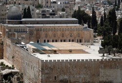 "العلماء والدعاة": الأقصى سيظل عامرًا بالمصلين والمرابطين