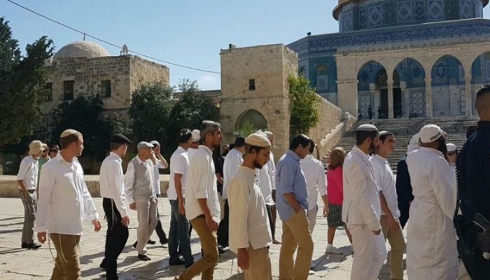 أكثر من 100 مستوطن يقتحمون الأقصى