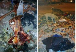 لحوم حمير وأحصنة ملقاة في شوارع الإسكندرية