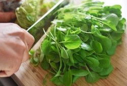 5 حلول منزلية لعلاج الغدة الدرقية