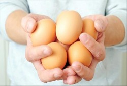 تركيا تؤكد خلوها من البيض الملوث