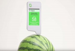 جرين تيست .. جهاز شخصي ومتطور لفحص جودة الخضروات والفواكه واللحوم