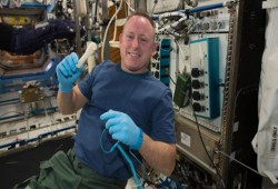 إعادة تدوير المخلفات الطبيعية لرواد الفضاء لصناعة مغذيات