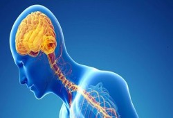 أعراض المشاكل العصبية تعرف عليها