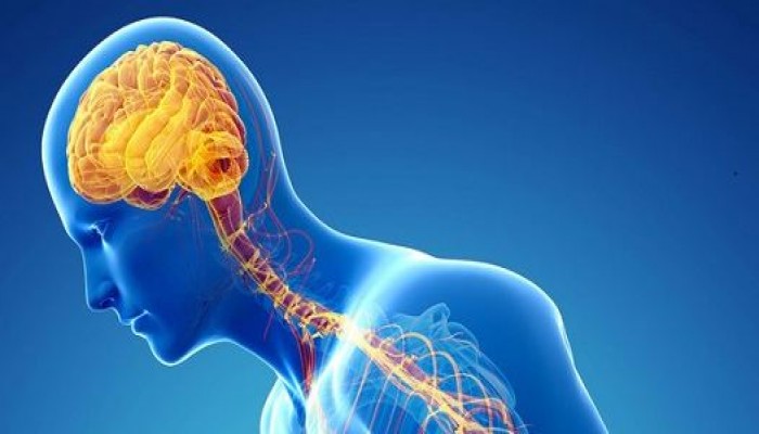 أعراض المشاكل العصبية تعرف عليها