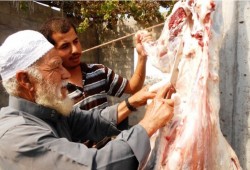 نساء غزة يبحثن عن طرق لحفظ لحوم الأضاحي بغياب الكهرباء