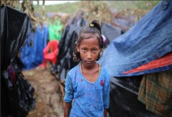 جمعية "بوذية" تدين انتهاكات حكومة ميانمار ضد مسلمي الروهنغيا