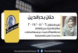 10 منظمات دولية تطالب مصر الإفراج عن الحقوقية حنان بدرالدين