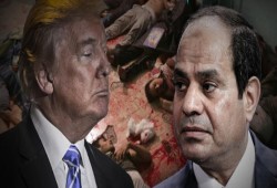 واشنطن بوست: زيارة ترامب للمنطقة أسهمت في ارتفاع القتل خارج القانون بمصر