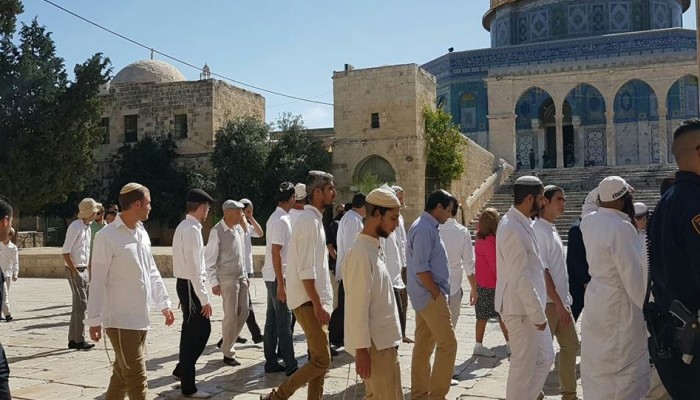 عشرات المستوطنين يقتحمون باحات الأقصى