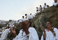 ارتفاع الوفيات إلى 14 حالة بين الحجاج المصريين