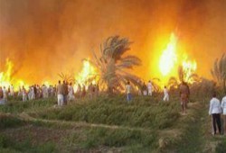 النيران تلتهم 5 أفدنة في حريق مزرعة بالأقصر