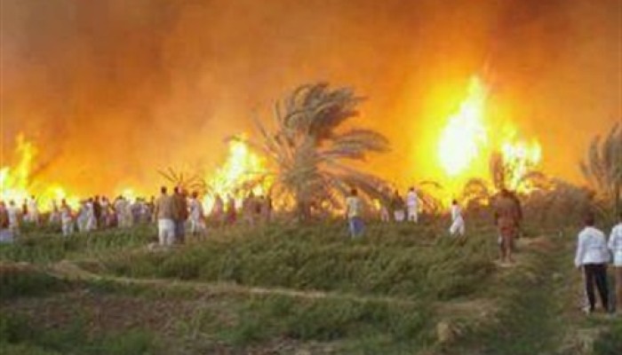 النيران تلتهم 5 أفدنة في حريق مزرعة بالأقصر