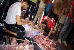 بتمويل تركي.. أوقاف غزة توزع لحوم أضاحي على 20 ألف أسرة فقيرة