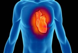 دراسة: تقليل مدة الجلوس يوميا يحافظ على صحة القلب