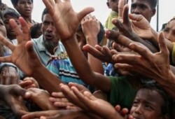 هيئات الإفتاء في العالم تدين الصمت الدولي إزاء إبادة مسلمي الروهينجا