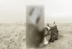 في عهد الانقلاب.. سائحة بلجيكية تنشر جلسة تصوير عارية في الأهرامات ومعبد الكرنك