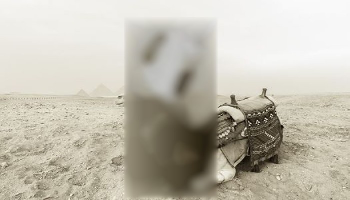 في عهد الانقلاب.. سائحة بلجيكية تنشر جلسة تصوير عارية في الأهرامات ومعبد الكرنك