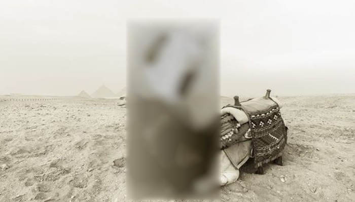 في عهد الانقلاب.. سائحة بلجيكية تنشر جلسة تصوير عارية في الأهرامات ومعبد الكرنك
