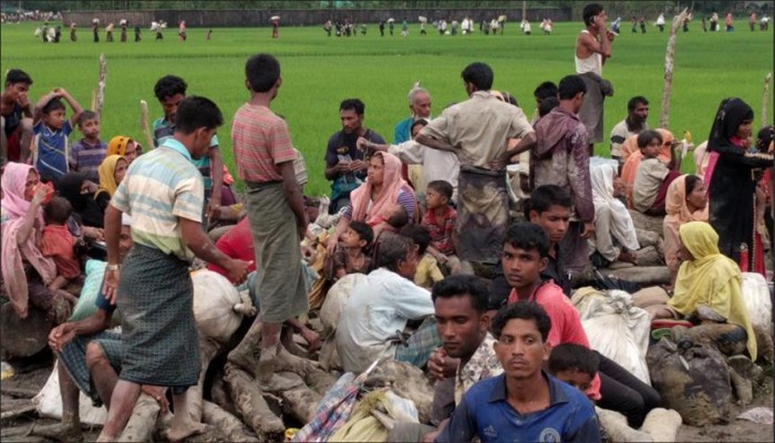 الأمم المتحدة: 270 ألف روهنغي فروا إلى بنغلادش