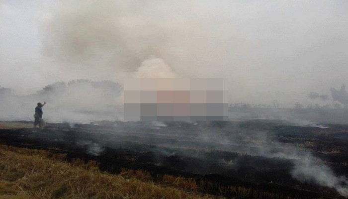 السحابة السوداء تغطي سماء الدقهلية قبل زيارة وزير بيئة الانقلاب