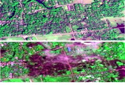 هكذا أصبحت قرى الروهينغا بعد إحراقها بالكامل