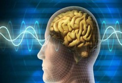 دراسة: الأشخاص الأذكياء أكثر كسلًا!