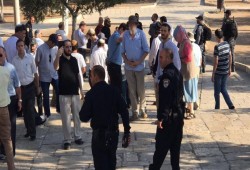 158 إسرائيليا يقتحمون الأقصى