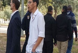 مستوطنًا يقتحمون الأقصى والاحتلال يعتقل أحد موظفي الأوقاف