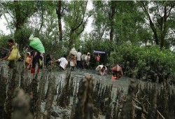 مسلمو الروهنغيا يواصلون الفرار من بطش جيش ميانمار