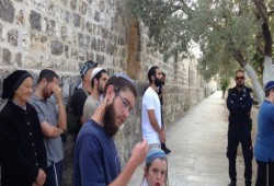 88 مستوطنًا صهيونيا يقتحمون الأقصى