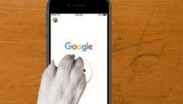 خبراء يحذرون من تطبيق جوجل للكشف عن الاكتئاب لتسببه فى الضرر