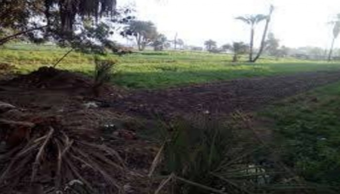 فلاحو دسوق يشكون من انعدام مياه الري .. والمسئول يرد: "اتصرفوا أنتم"