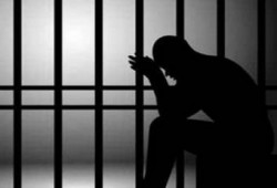 المداهمات والاختفاء القسري مصير أبناء الشرقية بعد اعتقالهم تعسفيًا واقتحام منازلهم