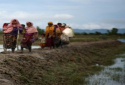 جنوب إفريقيا.. وقف إغاثي يجمع مساعدات للاجئي الروهنغيا في بنغلاديش