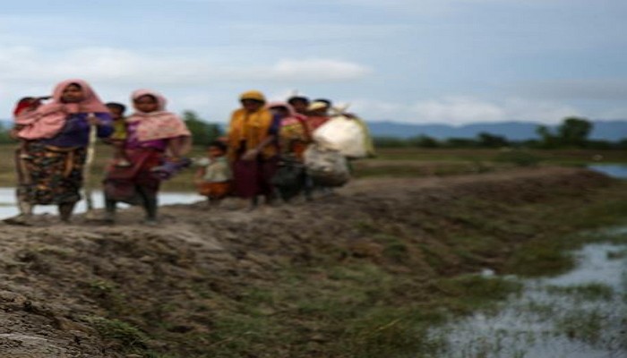 جنوب إفريقيا.. وقف إغاثي يجمع مساعدات للاجئي الروهنغيا في بنغلاديش