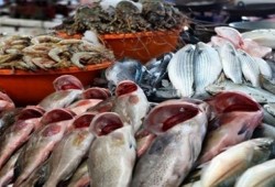 استقرار أسعار الأسماك واللحوم بالأسواق