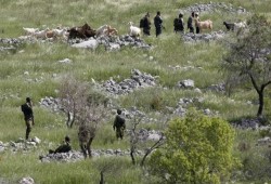 الاحتلال يستولي على أراضٍ في بلدة الخضر جنوب بيت لحم