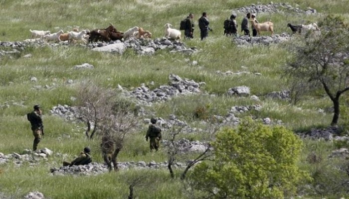 الاحتلال يستولي على أراضٍ في بلدة الخضر جنوب بيت لحم