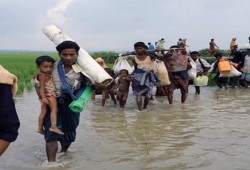 ديلي بيست: فيسبوك يوقف حسابات توثق الجرائم ضد الروهينغا