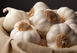 الثوم .. فوائد صحية جمّة