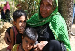 "رايتس ووتش": الهند لا تملك حق سوء معاملة الروهنغيا