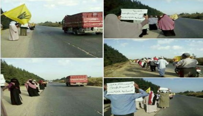 ثوار بولاق الدكرور: الوفاء لشيوخ الثورة