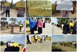 تظاهرات في الدقهلية تحت شعار "الوفاء لشيخ الثورة "