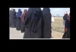 أهالي نبروه في اسبوع #الوفاء_لشيوخ_الثورة