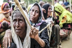 "الغذاء العالمي": نواجه نقصًا بـ 75 مليون دولار لإغاثة لاجئي الروهنغيا