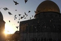 حماس: انتفاضة القدس أرست قواعد جديدة في الصراع مع الكيان الصهيوني