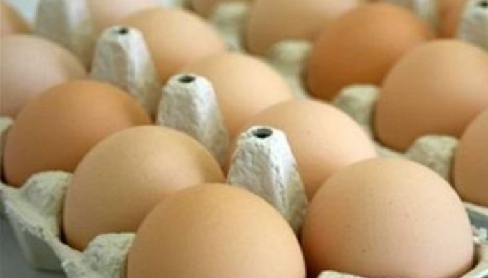 40 جنيها سعر كرتونة البيض بالأسواق والدواجن تسجل 22 جنيها للكيلو