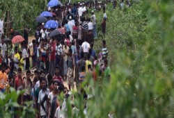 نصف عدد الروهينغا المسلمين يفرُّون إلى بنغلاديش.. حركة نزوح كبيرة